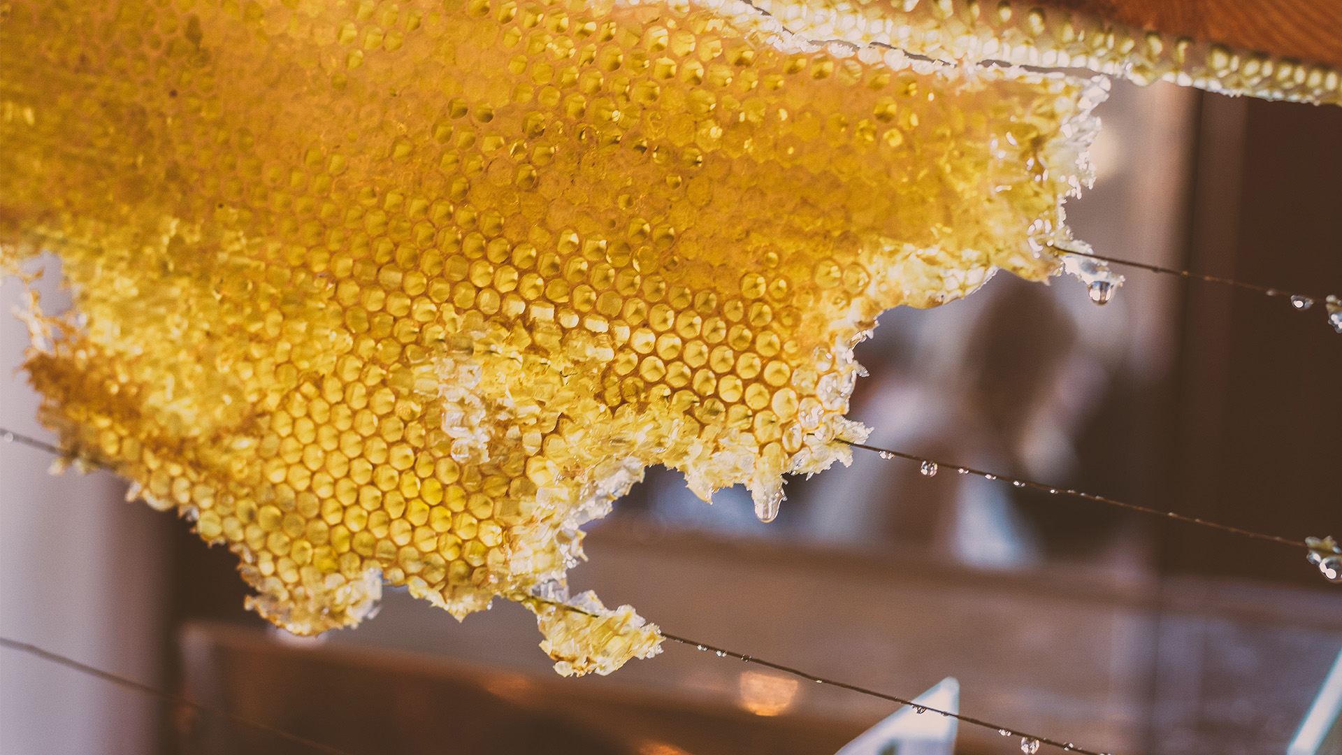 Svensk honung